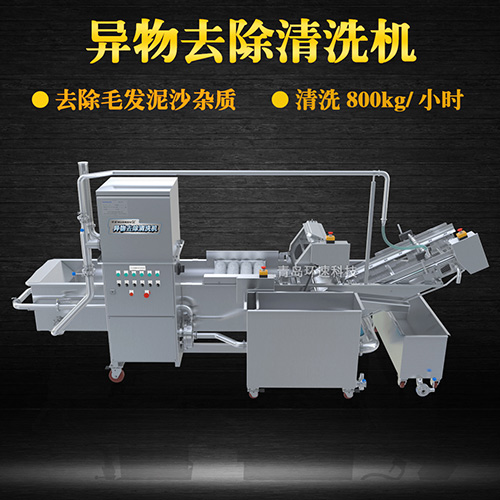多功能水果清洗機(jī)，氣泡清洗，清洗800kg小時(shí)
