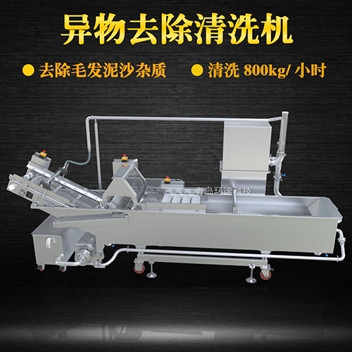 商用專業(yè)果蔬清洗機(jī)，氣泡清洗，清洗800kg小時(shí)