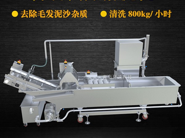 蔬菜清洗機(jī)，氣泡清洗，清洗800kg/小時(shí)