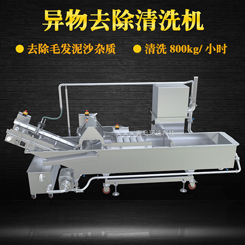 蔬菜清洗機(jī)，氣泡清洗，清洗800kg小時(shí)