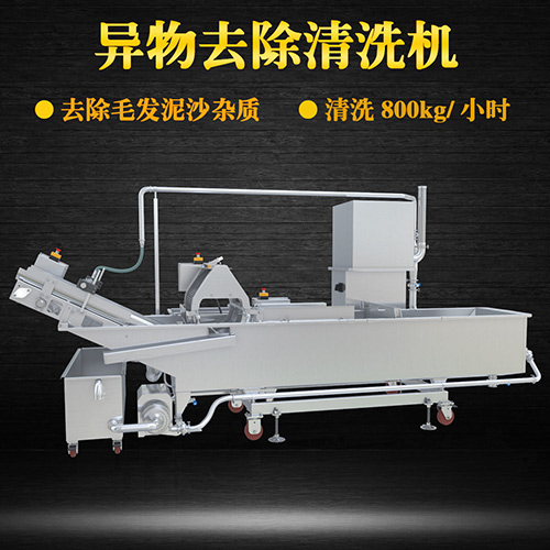 蔬菜氣泡清洗機，氣泡清洗，清洗800kg小時